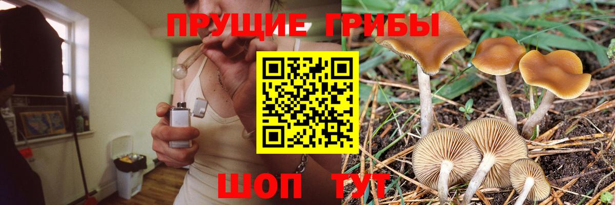 Псилоцибиновые грибы Psilocybine cubensis  хочу наркоту  Дзержинск  Вход с VPN  Псилоцибиновые грибы Magic Shrooms 